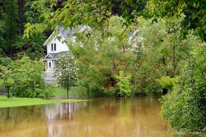 Morrison Subdivision in Kimberley. By Chris Newel