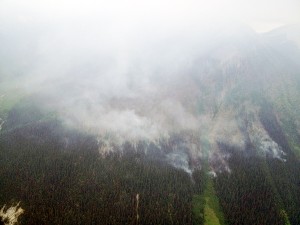 Winds helped spread the fire to about 50 ha.