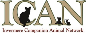 ICAN logo