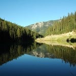 Habitat restoration work at Olive Lake