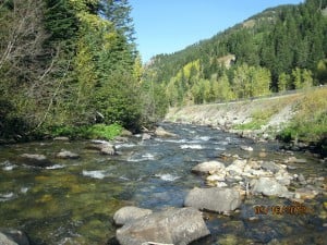 Photo of Alexander Creek, east of Sparwood and adjacent to highway 3.