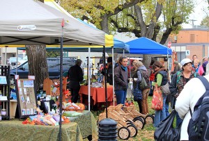 CFM Thanksgiving Market 2013