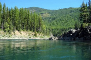 Flathead in Montana