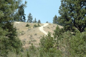 An example of the extensive scarring of the fragile grasslands around Lake Koocanusa from ORV activity.