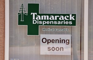 Tamarack Dispensary in Marysville is now open for business. 