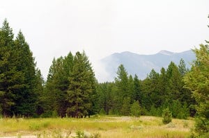 Smoke rises from the Baynes Lake area fire, located on the east side of Highway 95, as seen from the Kragmont area. Lead image shows smoke rising from fire as seen from Elk River Bridge. Ian Cobb/e-KNOW