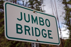 Jumbo Bridge