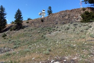 Native grassland restoration following treatment of invasive species at Columbia Lake tower. Photos submitted