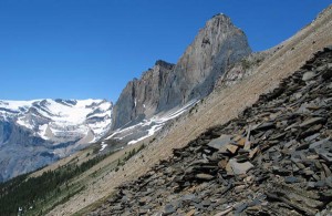 Burgess Shale