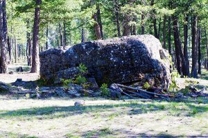 Cranbrook Community Forest