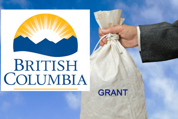 Annual Provincial Local Government Grants Dispersed | Columbia Valley ...