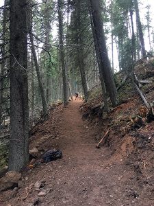 Work in progress on the Elkford South Trail.