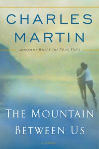 the-mountain-between-us