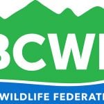 Call for entries to BCWF Awards 