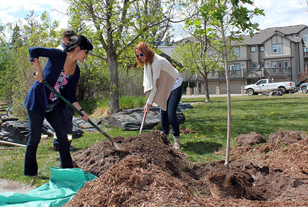 Local government honoured in tree planting | Columbia Valley, Invermere