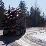 BC Timber Sales review launched