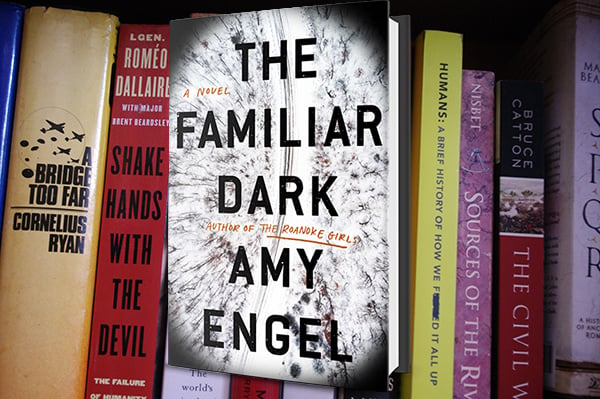 the familiar dark by amy engel