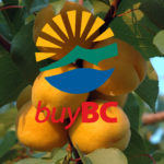 Buy BC program funding available