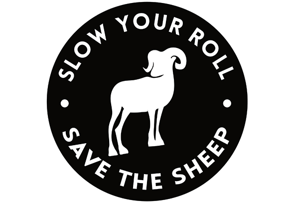 slow-your-roll-campaign-launched-to-protect-sheep-columbia-valley