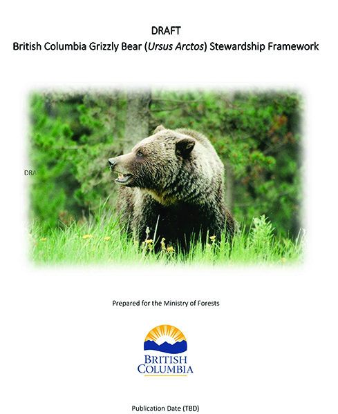 B.C. Seeks Input On Grizzly Stewardship And Bear Viewing | Columbia ...