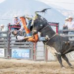24th Bull Riding event returning July 19