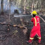 Lightning-caused wildfire contained in Jaffray area 