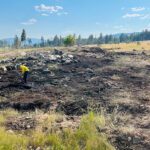 Cranbrook firefighters knock down grass fire at Moir