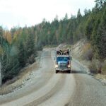 FPB to audit Canfor forestry operations near Cranbrook