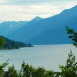 Whirling disease detected in Kootenay Lake