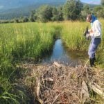 Program elevates wetland conservation in Columbia Valley